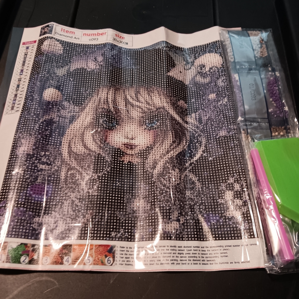 Diamond Painting Kit with Goth Girl Design 30x30
